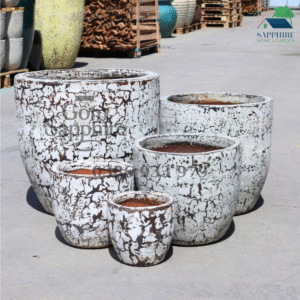 SAP11951354 - Bộ 5 - Men Atlantis cổ hiệu ứng vôi tường lâu năm