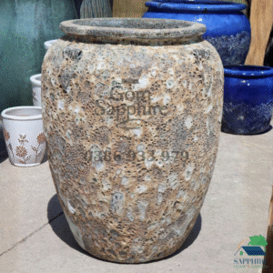 SAP10351000 - 1 Chậu