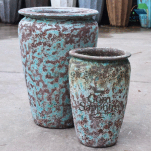 SAP41251028 - Bộ 2 - Men sôi xanh