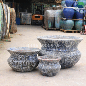 SAP199164 - Bộ 3 - Men sôi dương